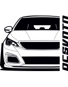 308 FL GTI P-001