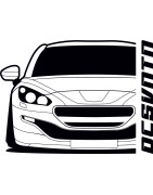 RCZ P-002