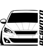 308 SW P-006