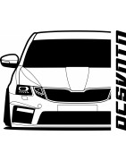 III RS FL SK-011