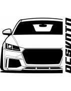 TT RS FV A-009